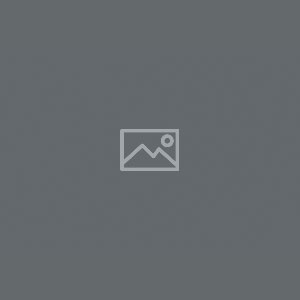 ESD Vakverdelingen zwart APET (ESD)